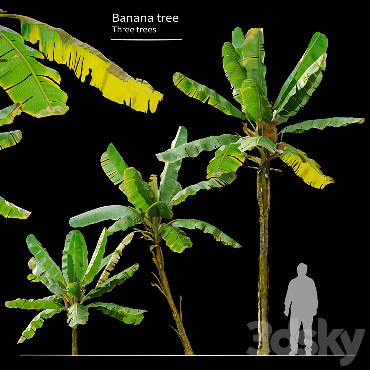 Banana Tree 3DS Max - thumbnail 1