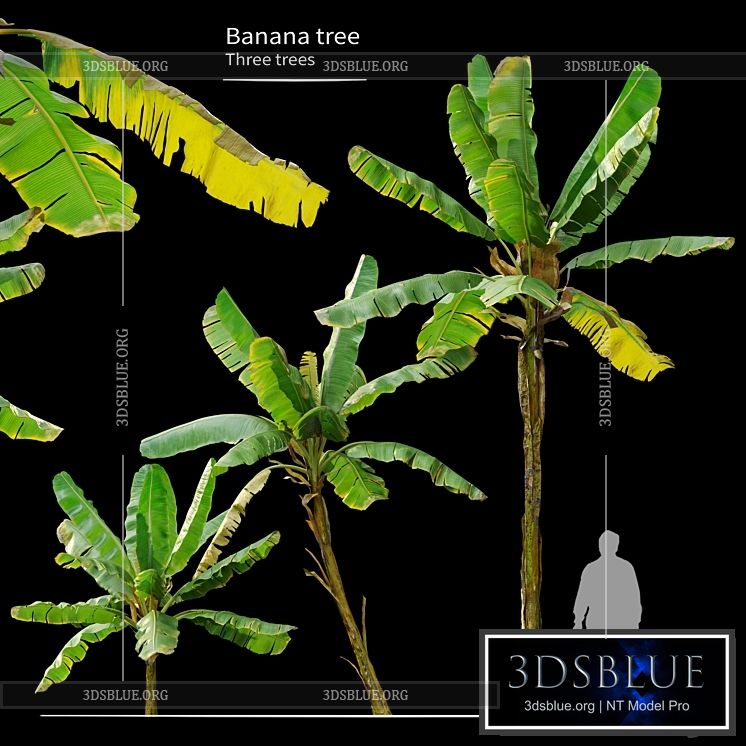 Banana Tree 3DS Max - thumbnail 3