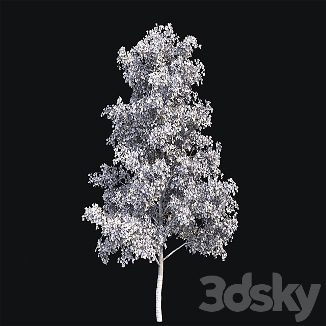 Birch 3DS Max Model - thumbnail 3