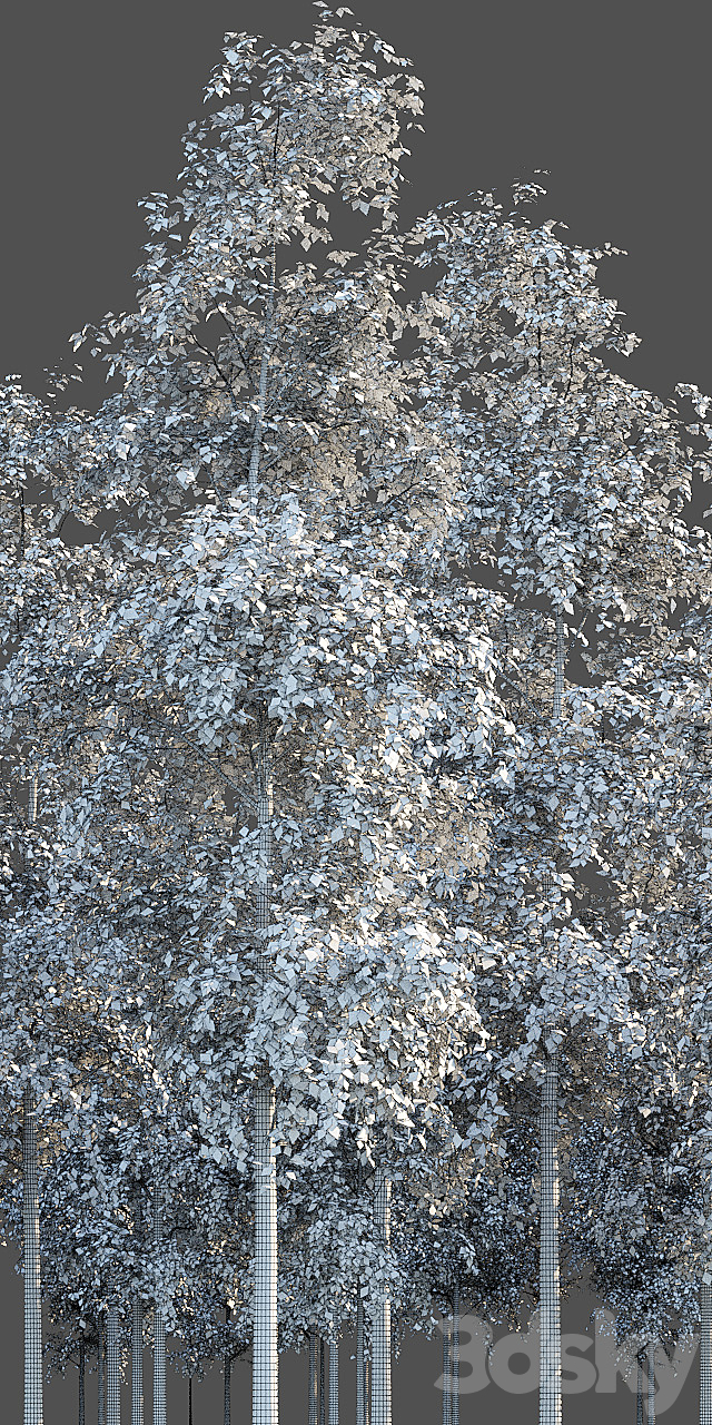 Birches 3ds Max - thumbnail 3