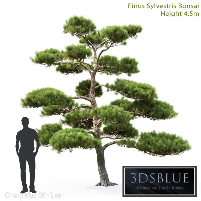 Bonsai 3DS Max - thumbnail 3