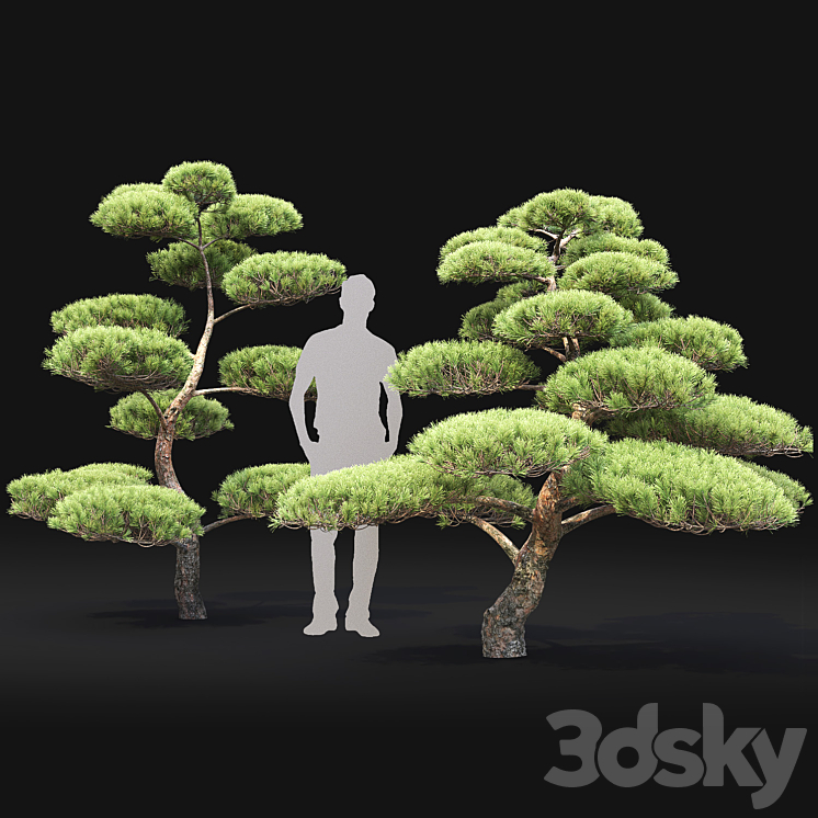 Bonsai 3DS Max - thumbnail 2