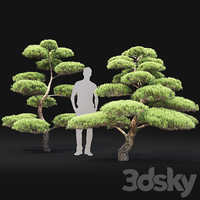 Bonsai 3DSMax File - thumbnail 2