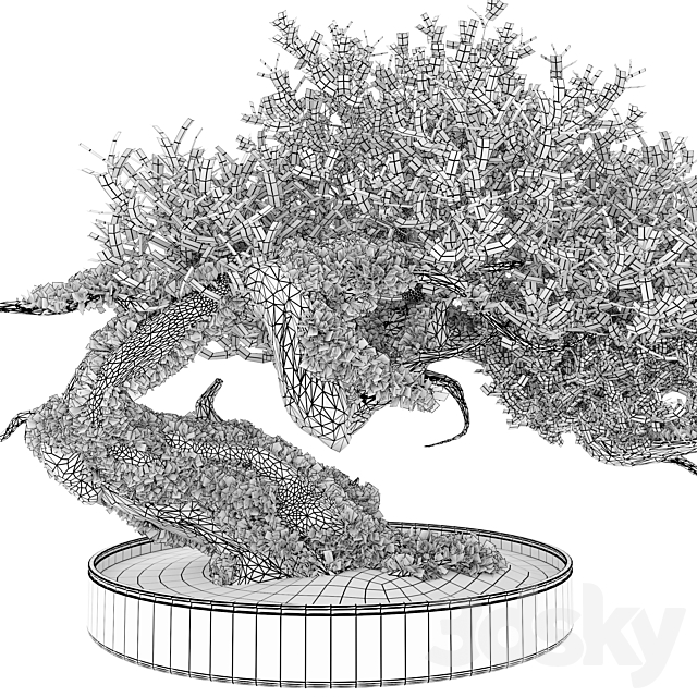 Bonsai plant_03 3DS Max Model - thumbnail 4