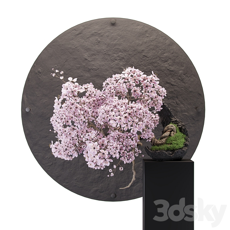 Bonsai sakura 3DS Max - thumbnail 1