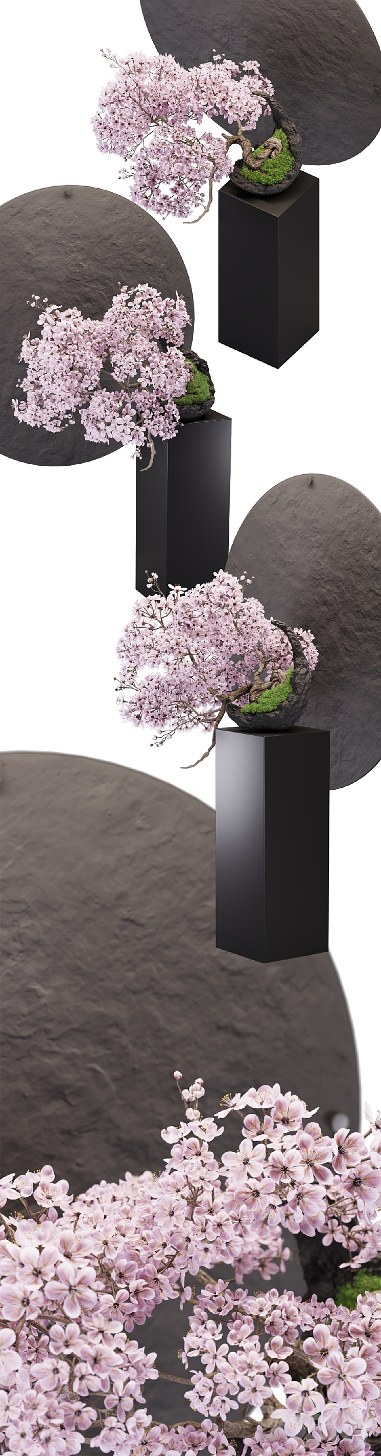 Bonsai sakura 3DS Max - thumbnail 2