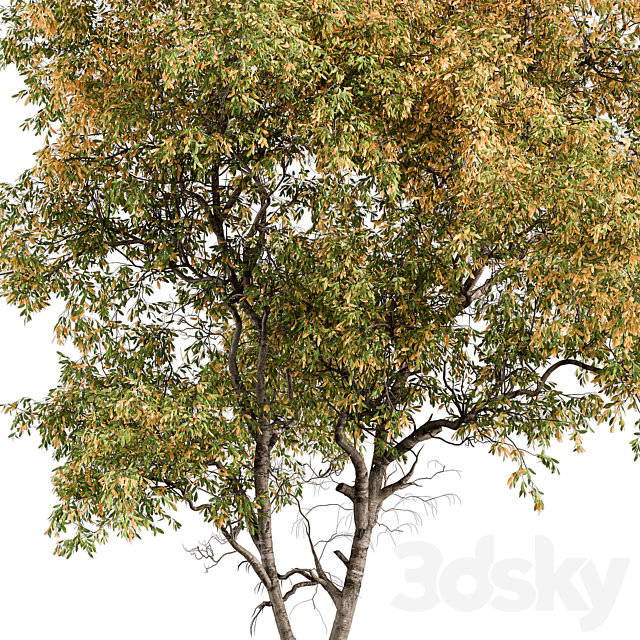 Broadleaf Tree – Tree Set 227 3DS Max Model - thumbnail 5