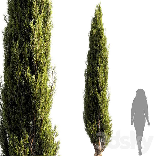 bush tree 010 3ds Max - thumbnail 1