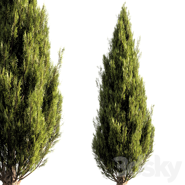 bush tree 016 3ds Max - thumbnail 1