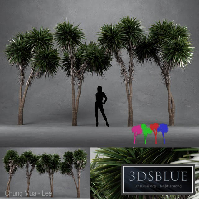 Cabbage Tree – Cordyline Australis – Large01 3DS Max - thumbnail 3