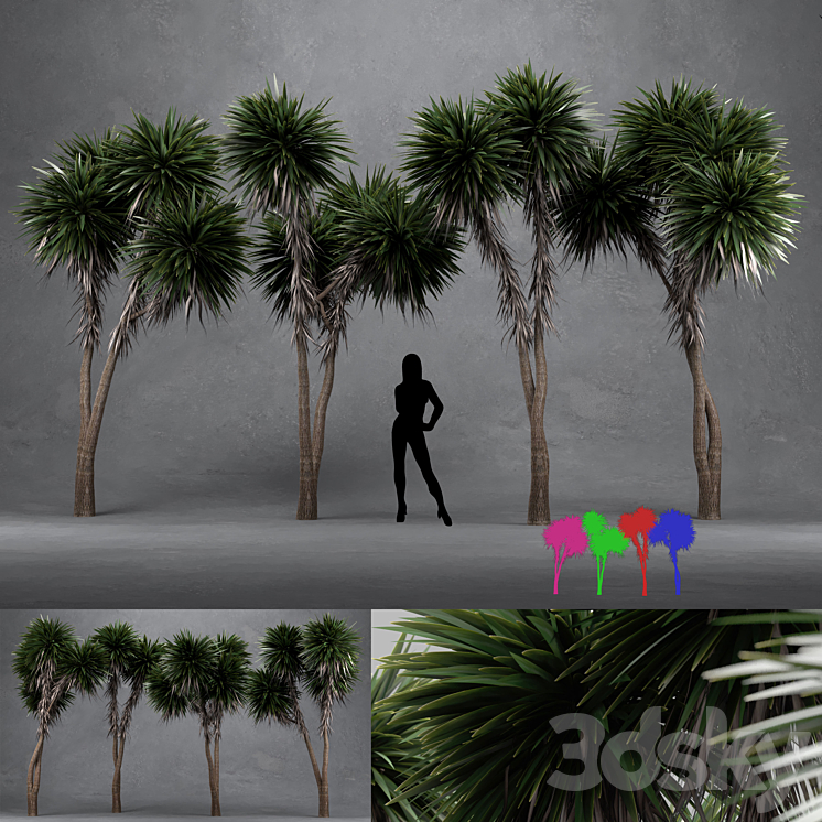 Cabbage Tree – Cordyline Australis – Large01 3DS Max - thumbnail 1