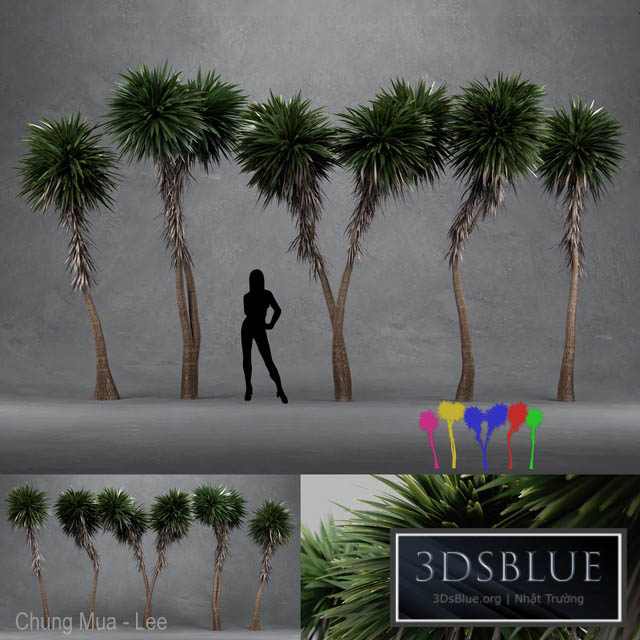 Cabbage Tree – Cordyline Australis – Large02 3DS Max - thumbnail 3