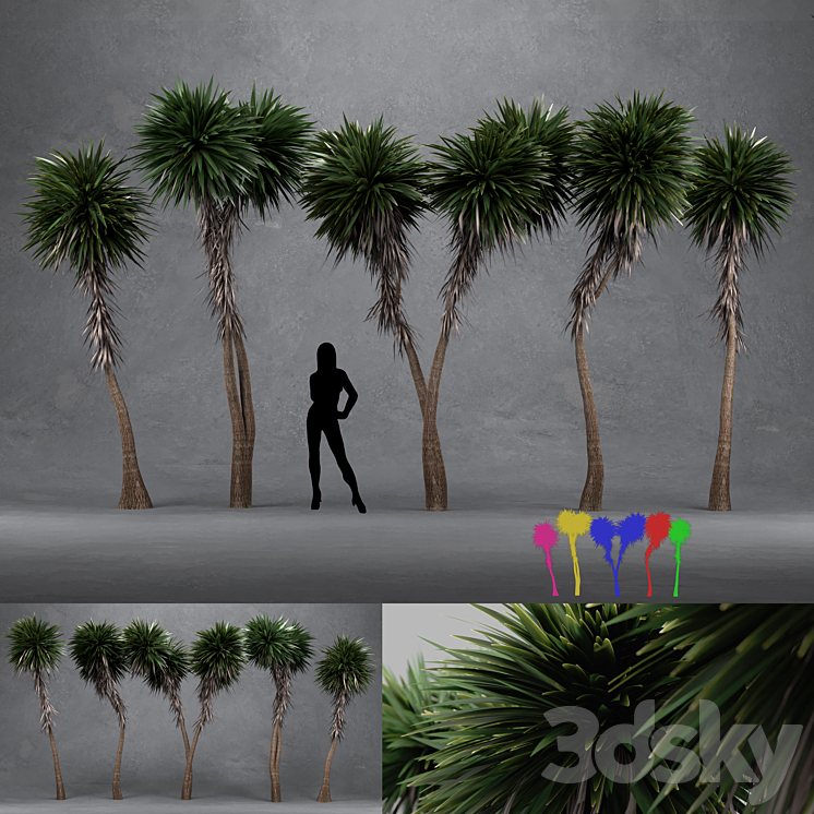 Cabbage Tree – Cordyline Australis – Large02 3DS Max - thumbnail 1