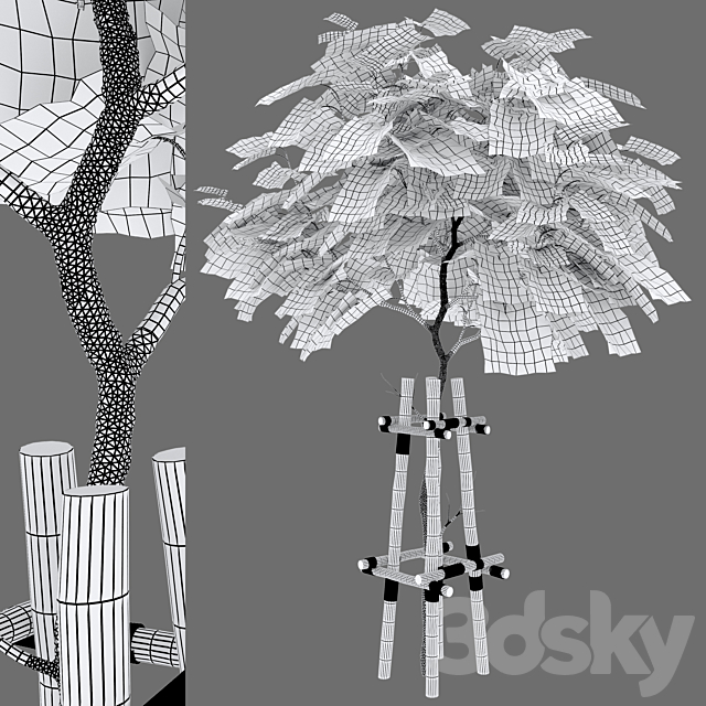 catalpa tree 3ds Max - thumbnail 3