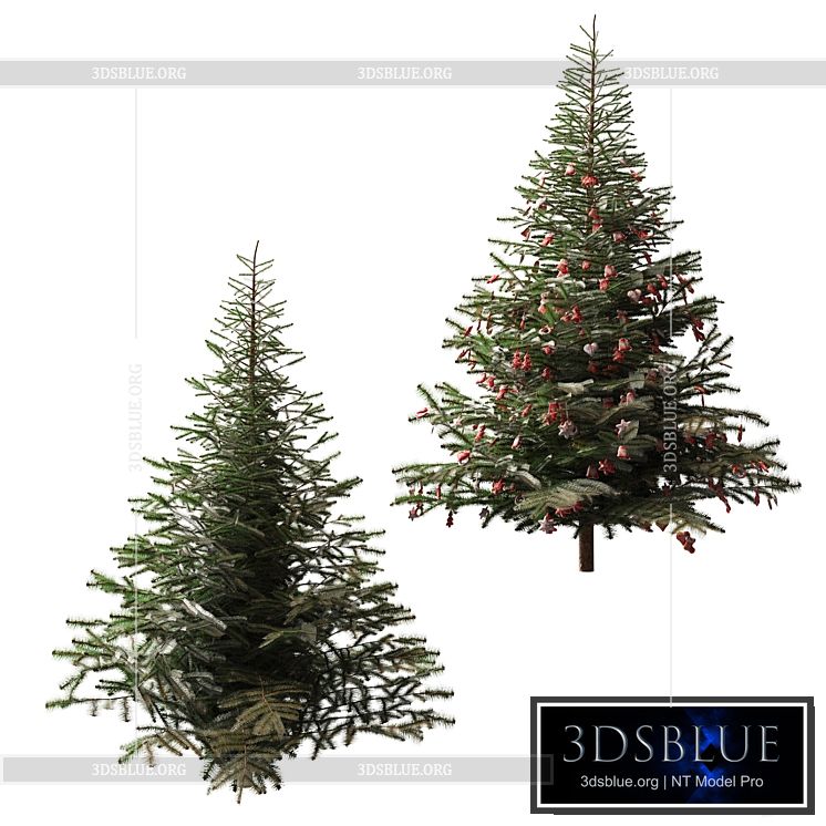 Christmas tree and Christmas tree 3DS Max - thumbnail 3