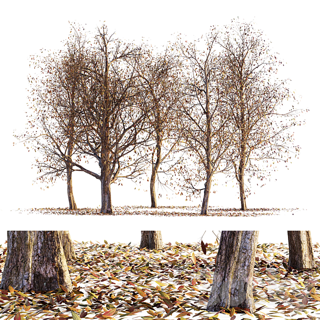 Collection of dry autumn trees 001 3DS Max Model - thumbnail 1