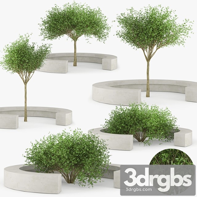 Comb By Vora Arquitectura Tree Bench 3dsmax Download - thumbnail 1