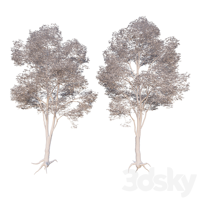 Common Tree model 1 3DS Max Model - thumbnail 2