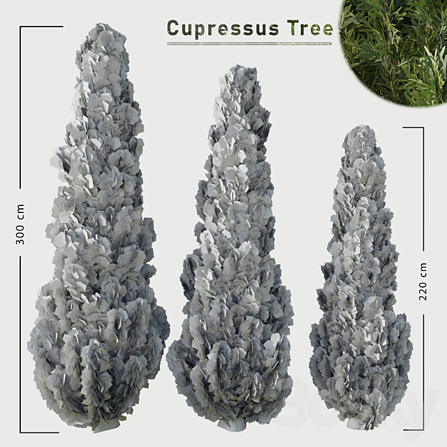 Cupressus tree 3ds Max - thumbnail 3