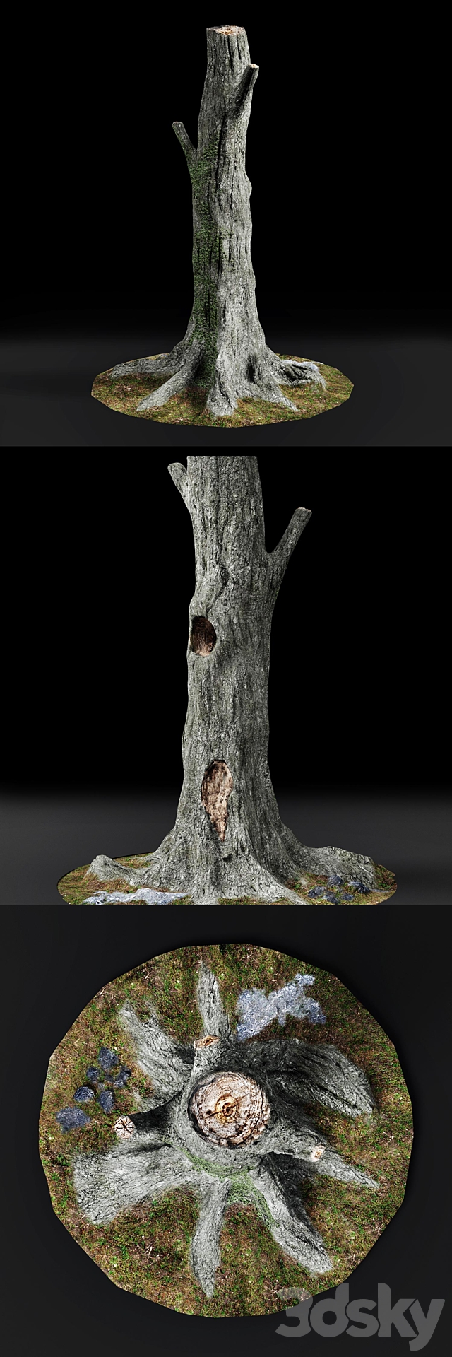 Dead tree Chestnut 3DS Max Model - thumbnail 2