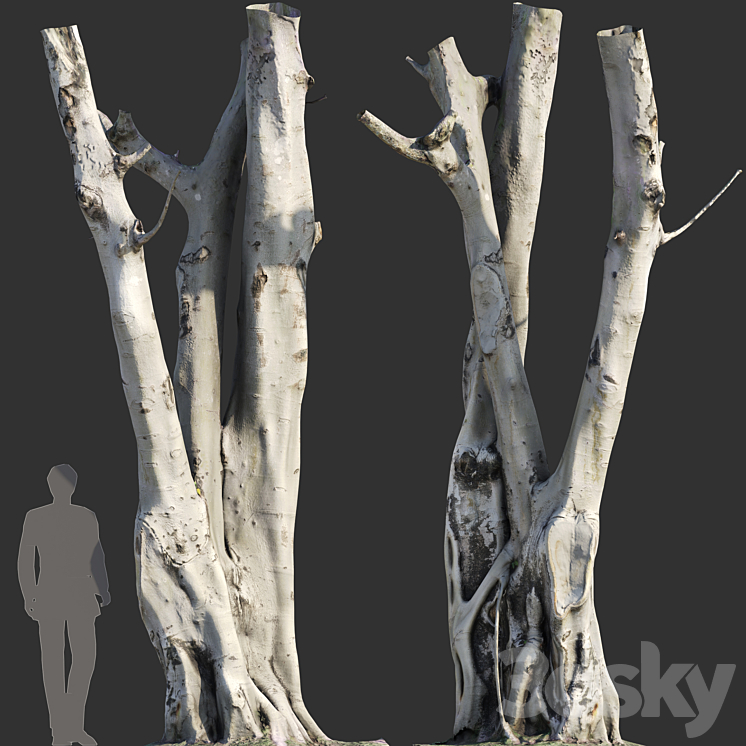 Ficus religiosa Tree Trunk 3DS Max Model - thumbnail 1