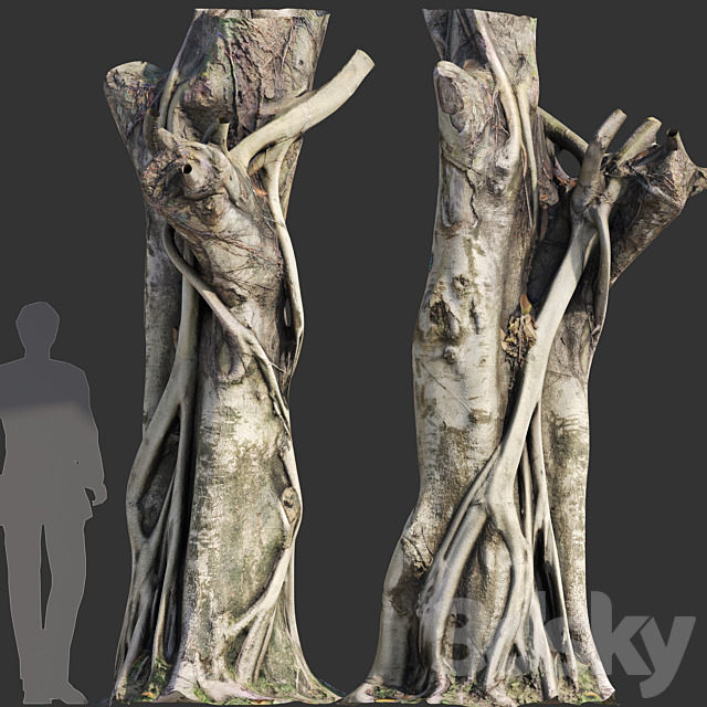 Ficus Tree Trunk 10 3ds Max - thumbnail 1