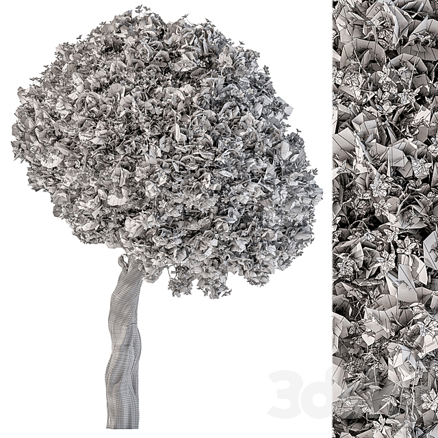 Flower Tree – Set 104 3dsMax Model - thumbnail 3