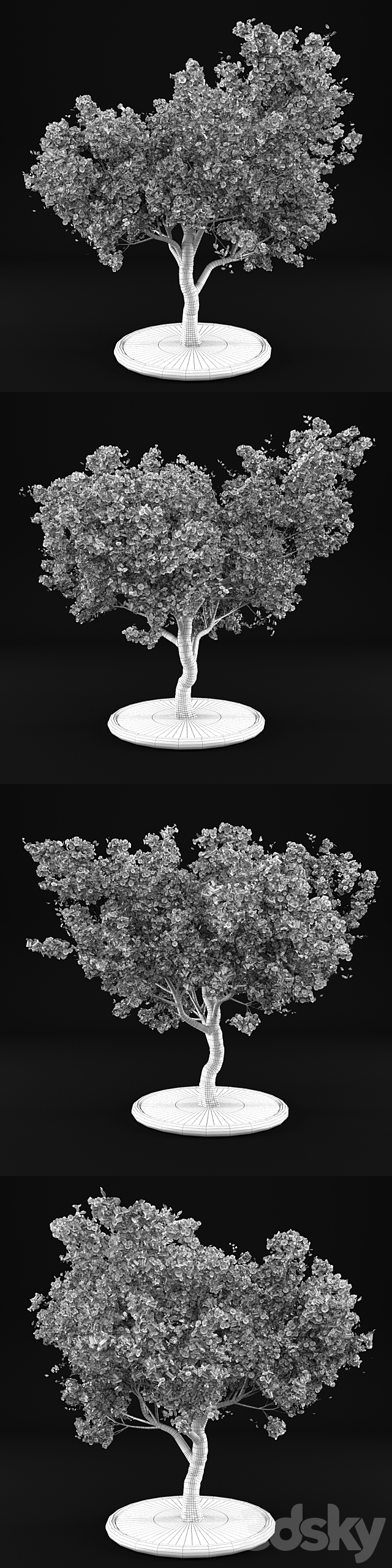 Flowering Apple Tree 3ds Max - thumbnail 3