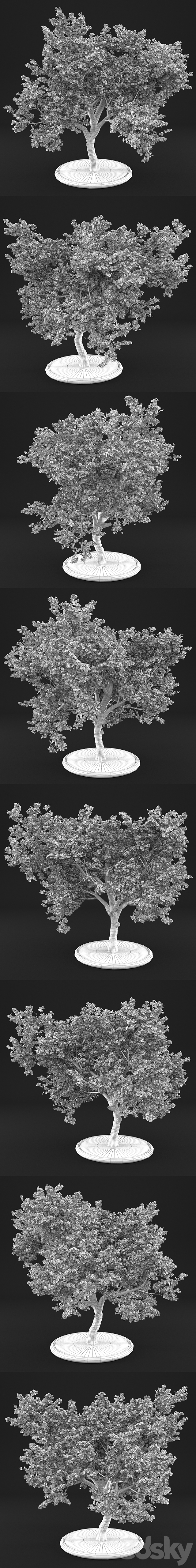 Flowering Apple Tree 3DS Max Model - thumbnail 3