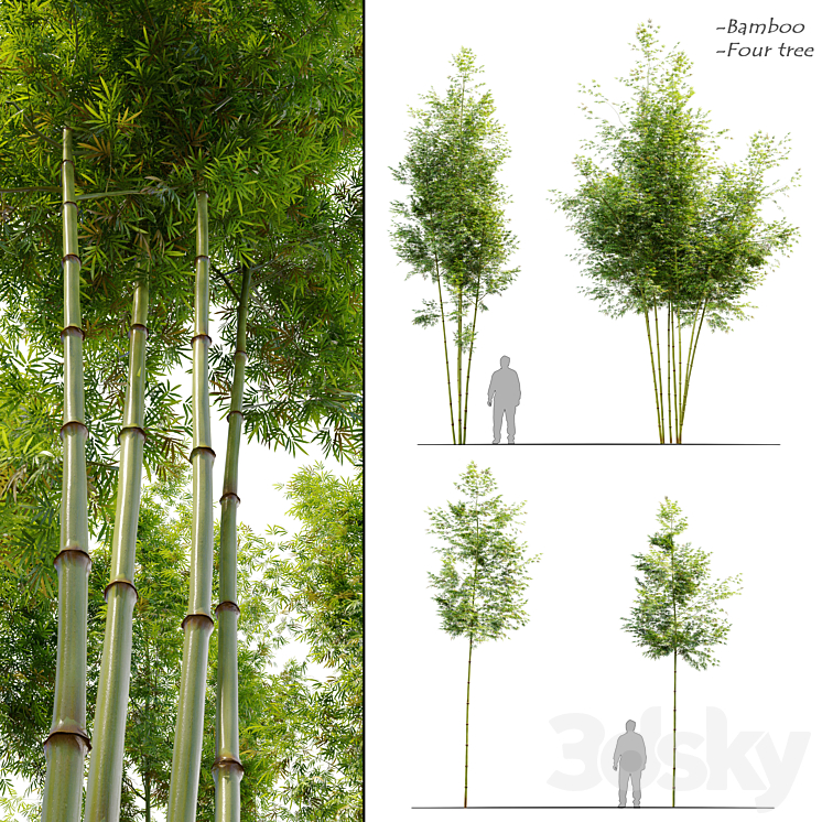 Four bamboo tree 3DS Max Model - thumbnail 1