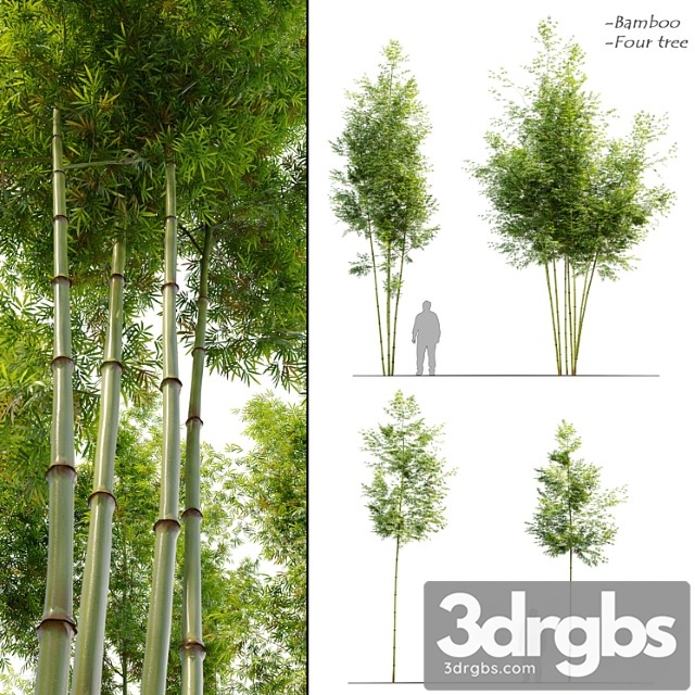 Four Bamboo Tree 3dsmax Download - thumbnail 1