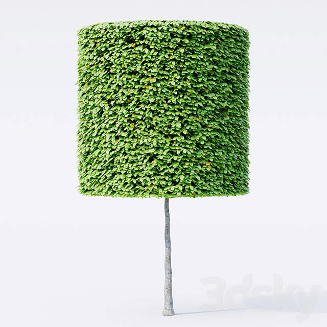 Geometric topiary trees 3DS Max Model - thumbnail 2