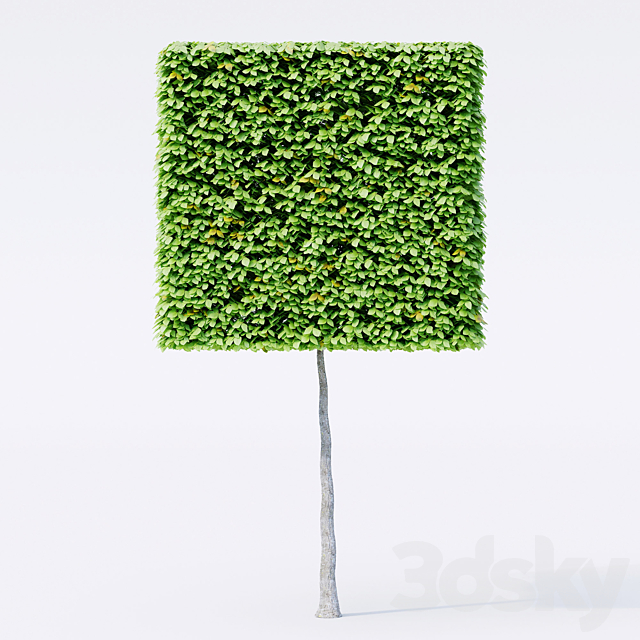 Geometric topiary trees 3DS Max Model - thumbnail 3