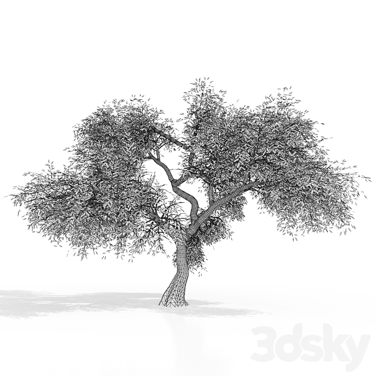 Green tree 2 3DS Max - thumbnail 2