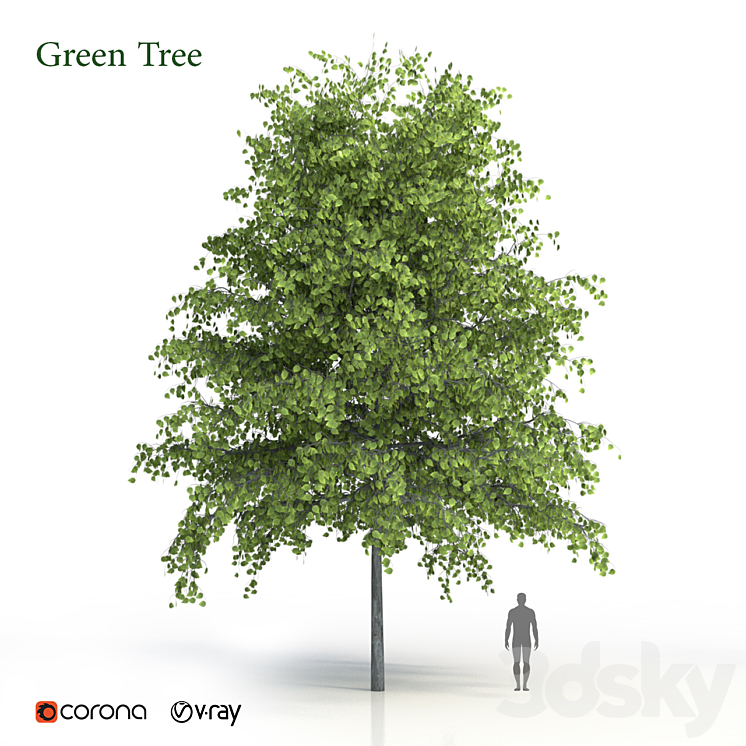 Green tree 3DS Max - thumbnail 1