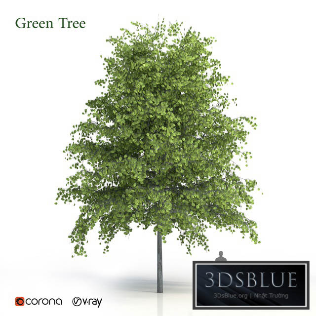 Green tree 3DS Max - thumbnail 3