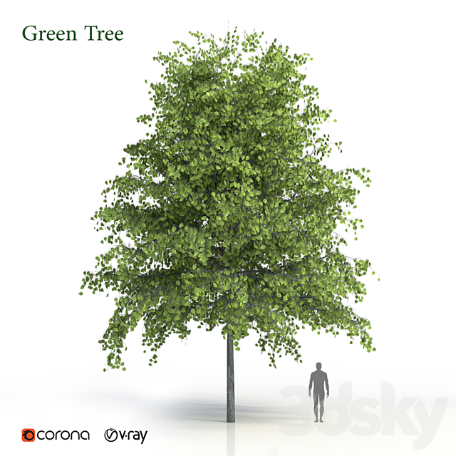 Green tree 3DS Max Model - thumbnail 1