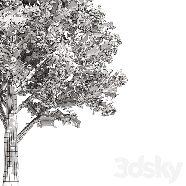 High quality katsura tree 3DS Max Model - thumbnail 4