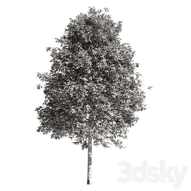 High quality OAK-Tree 3DSMax File - thumbnail 3