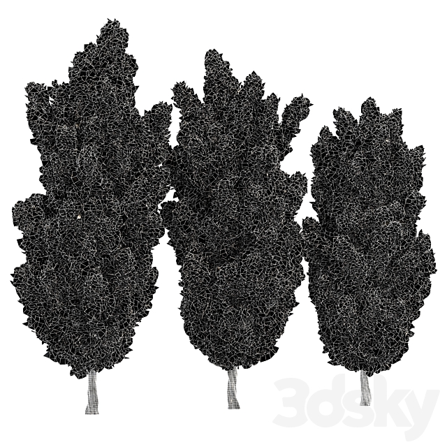 Italian Cypress High details 3Trees 3DSMax File - thumbnail 5