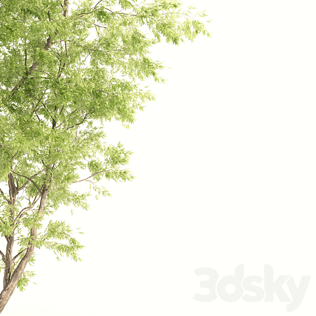 jam tree 3DS Max Model - thumbnail 2