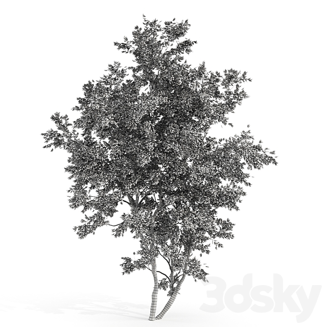 jam tree 3DS Max Model - thumbnail 3