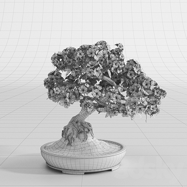 Japanese azalea bonsai 3DSMax File - thumbnail 2