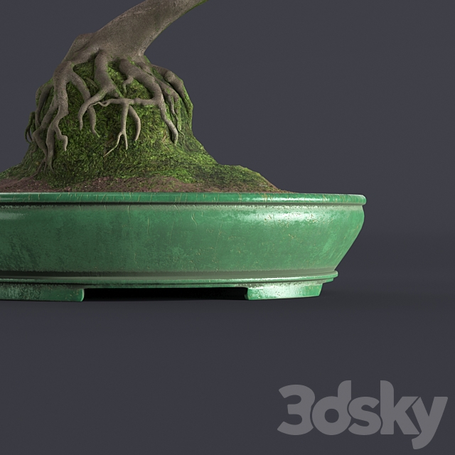 Japanese azalea bonsai 3DSMax File - thumbnail 3