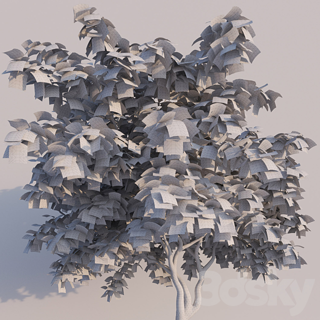 Japanese Maple 3DSMax File - thumbnail 3