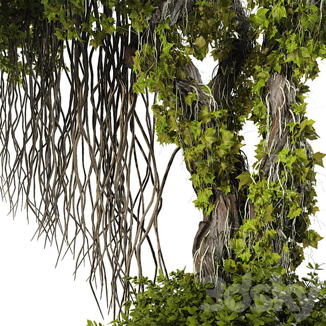 Jungle Tree and ivy plants 320 3ds Max - thumbnail 2