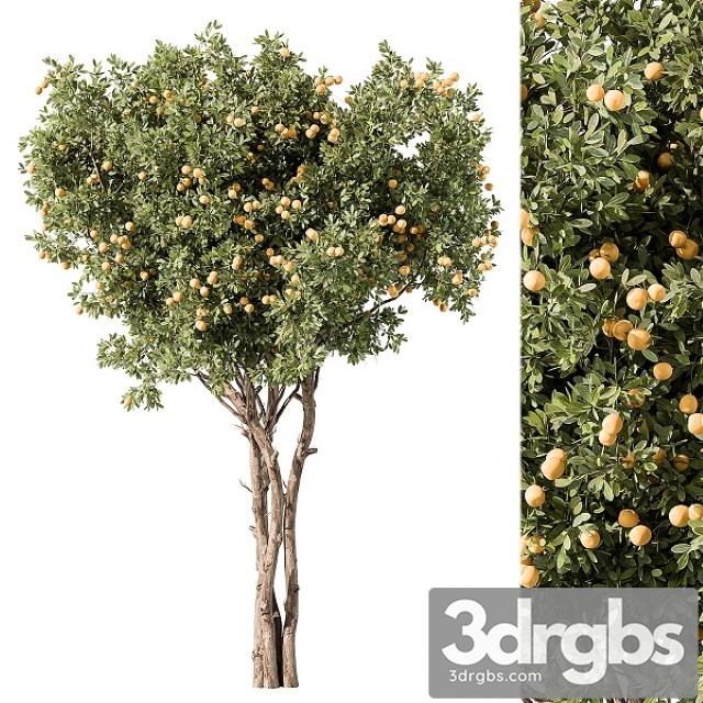 Lemon Tree Set 117 3dsmax Download - thumbnail 1