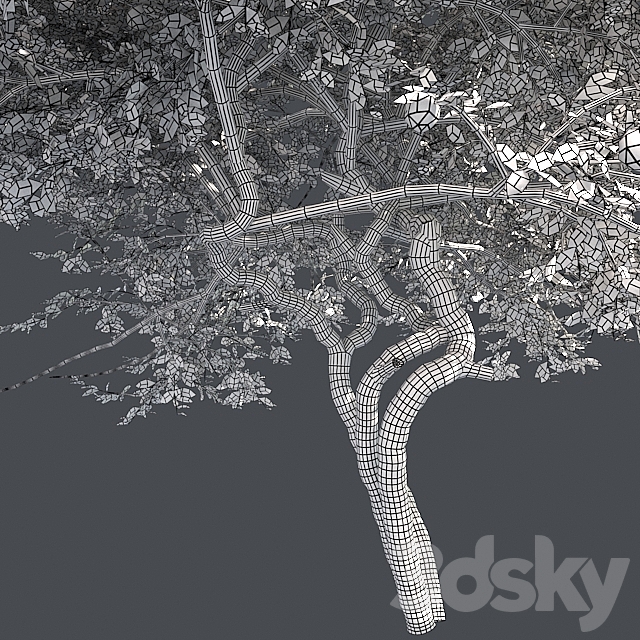 Lemon Tree with fruits and blossom 3DSMax File - thumbnail 5