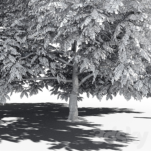 Manchurian Walnut (Juglans mandshurica) 3DSMax File - thumbnail 5