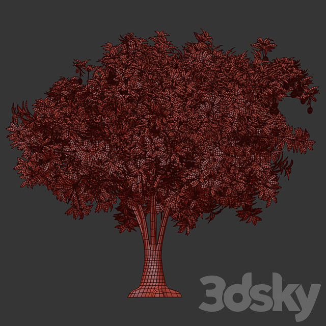 Mango tree 3DSMax File - thumbnail 3